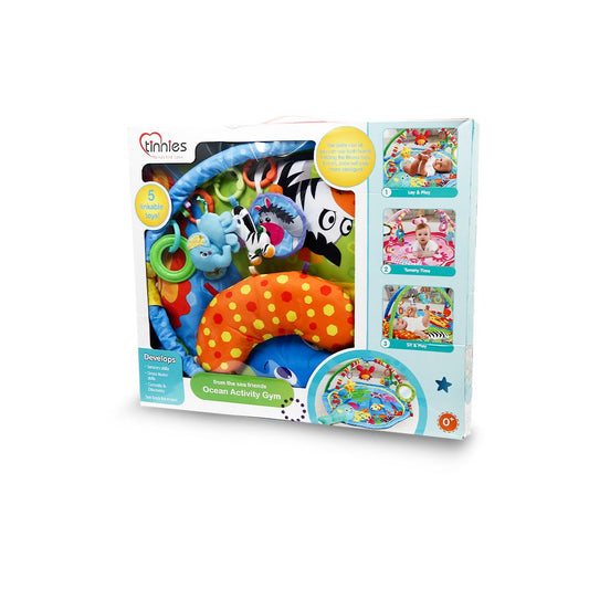 Tinnies Baby Play Gym Multi
